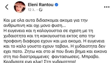 «Κερδίσατε ένα κλικ στη χυδαιότητα»: Η Ελένη Ράντου σπάει τη σιωπή της για την υγεία του Παπακωνσταντίνου