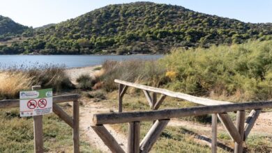 «Ο ωκεανός ανήκει σε όλους»: Η Ελληνίδα που ρίχνει γέφυρες με την Αυστραλία για το «Ocean Stewards»