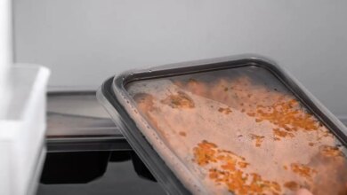 Γιατί δεν πρέπει να βάζεις ποτέ ζεστό φαγητό κατευθείαν στο ψυγείο